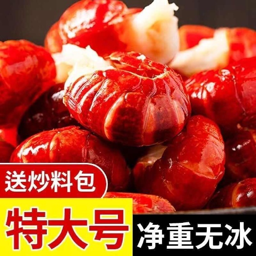 【净重无冰衣】特大号龙虾尾麻辣小龙虾鲜活新鲜速冻虾球整箱批发