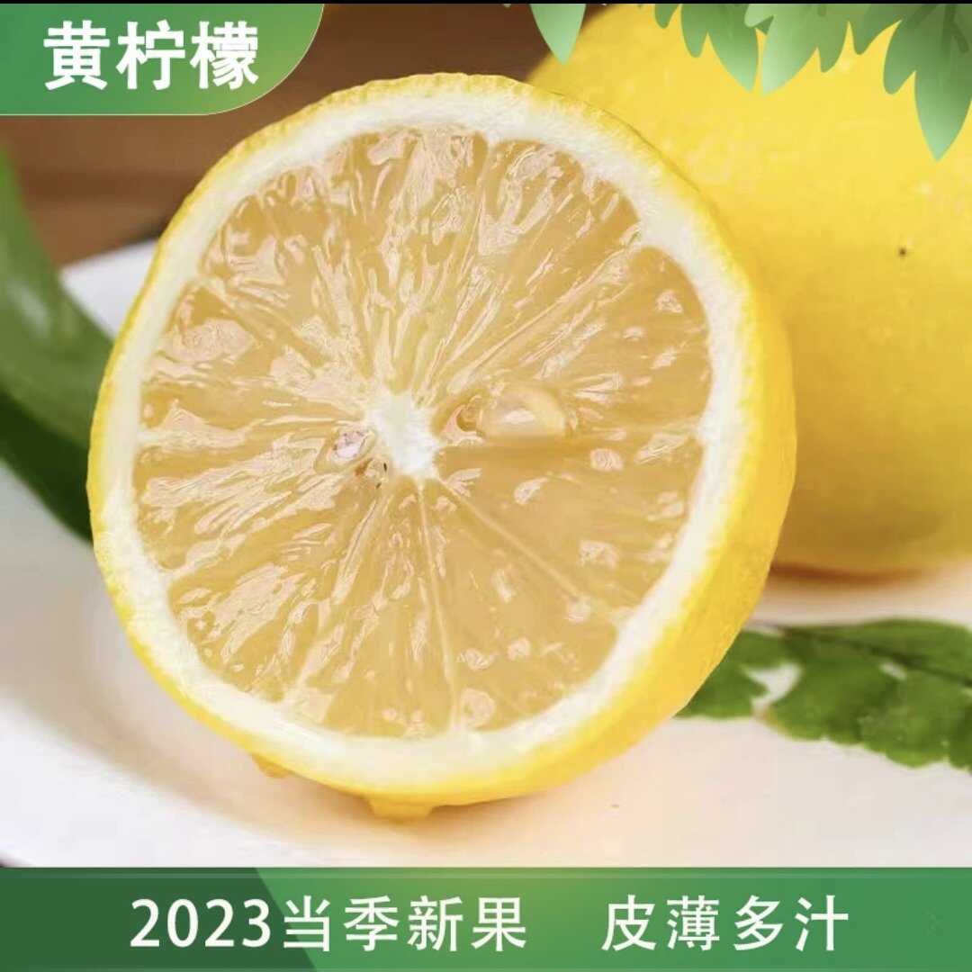 安岳尤力克黃檸檬  一級出口200～260g/個  皮薄汁多