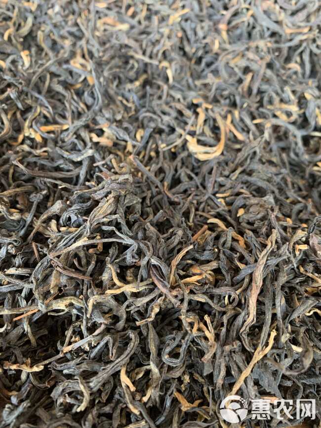 英红九号红茶 红茶 英德特产 散装 口粮茶 英红红茶 批发价