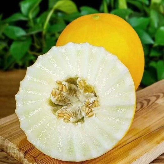 黄金蜜瓜大黄皮久红瑞五岳独尊