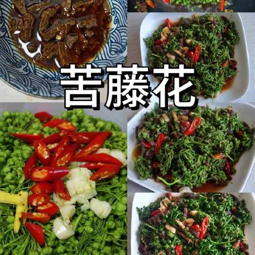 蒙自市云南苦藤花，可炒吃，煮汤