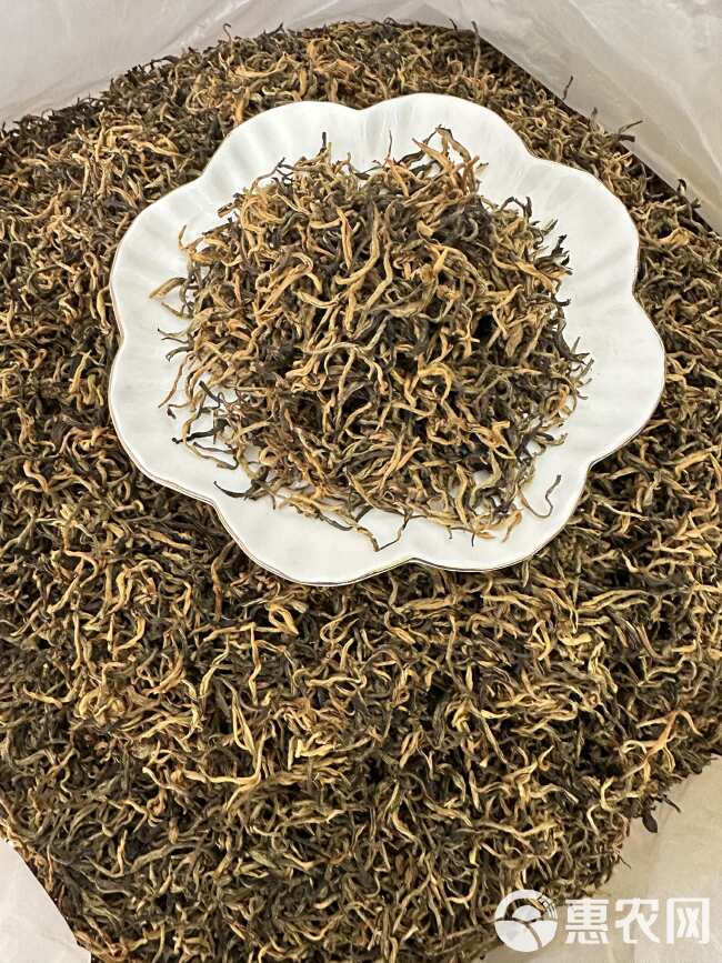 英红九号红茶 金丝芽 黄芽英德特产红茶 批发价 散装袋装红茶