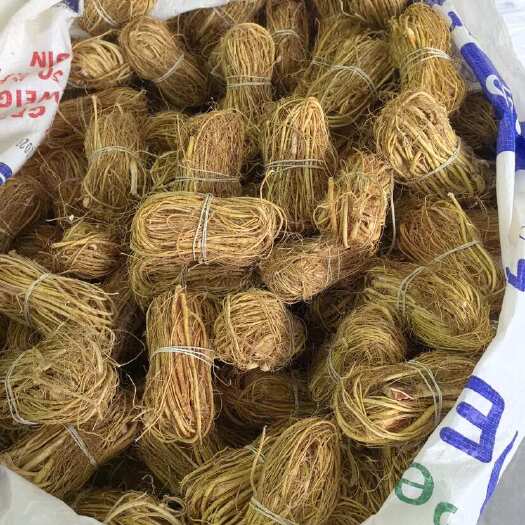 平南县高品质五指毛桃中药材包心扎黄扎