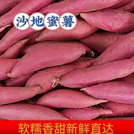 沙地蜜薯