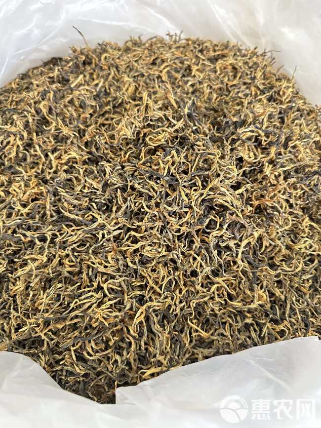 英红九号红茶 金丝芽 黄芽英德特产红茶 批发价 散装袋装红茶