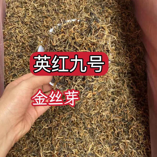 英红九号红茶 金丝芽 黄芽英德特产红茶 批发价 散装袋装红茶