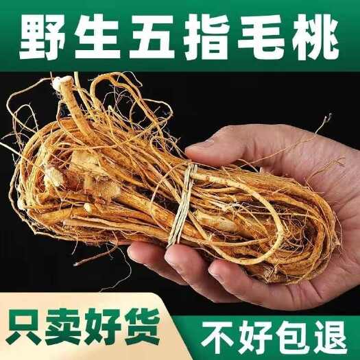 亳州五指毛桃土茯苓煲汤汤清祛正品五爪龙煲汤中药材500g