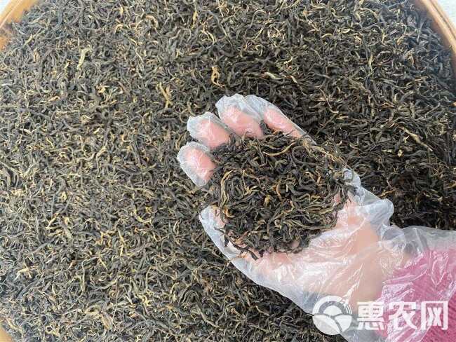 英红九号红茶 红茶 英德特产 散装 口粮茶 英红红茶 批发价