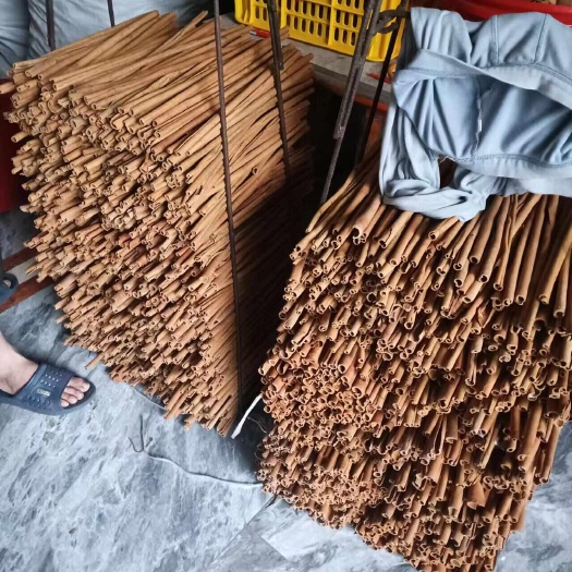 桂平市广西玉桂(西江陈桂)