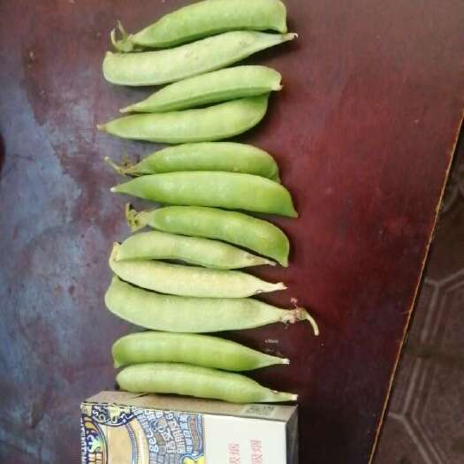 新野县豌豆荚