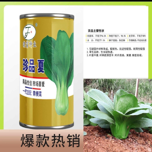 晓富珍品夏杂交一代束腰青梗菜种子早熟耐热耐雨抗逆青菜种子种籽