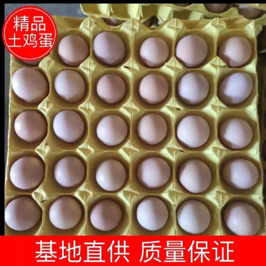 武汉【会销甄选】新杨黑粉八大午土鸡蛋480枚/箱毛重44-46斤