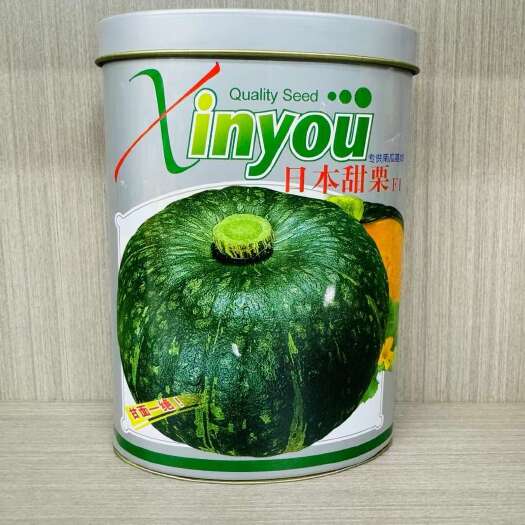 南京甜栗早熟西洋板栗南瓜口感粉糯香甜甘面四季播种抗病蔬菜种子