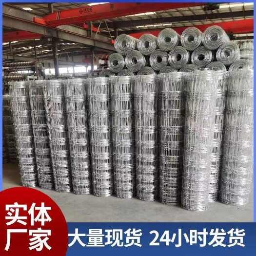 成都钢丝网，果园围栏网，不生锈，硬度好，自产自销，保重量拿货