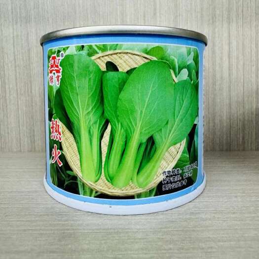 南京绿亨热火青梗菜小青菜上海青鸡毛菜种子耐热耐湿不易拔节蔬菜种子