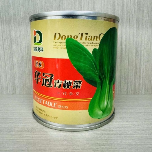 南京华冠青梗菜四季播种速生长耐热耐寒口感绵甜抗病矮脚蔬菜种子