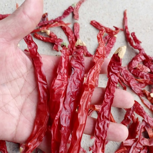 漯河烘干二荆条