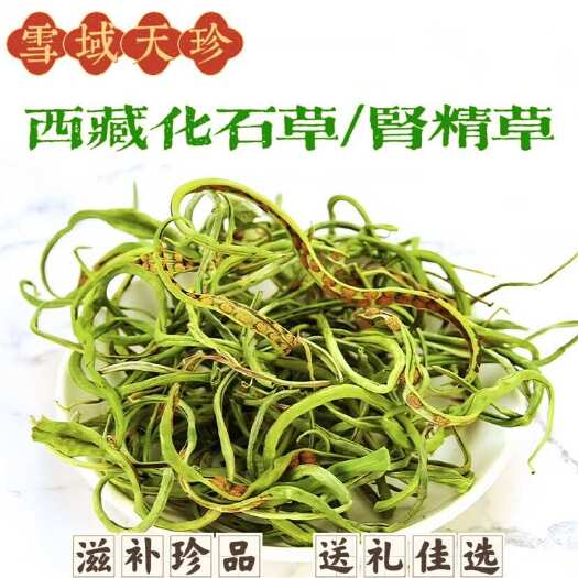 西藏肾精茶化石草肾精草黄金化石草经嗷嗷叫滋补养生