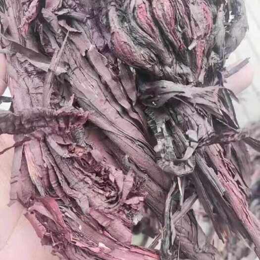 霍尔果斯紫草（包含量）