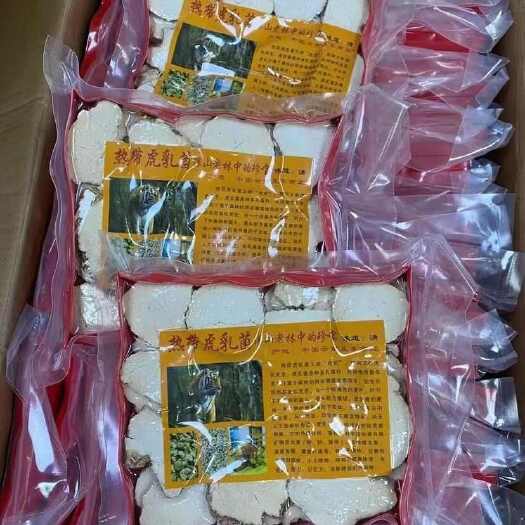 亳州虎奶菇 虎乳菌 250克包装 规格齐全 可支持一件代发包邮