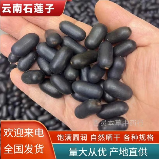 成都云南石莲子干货当季新品