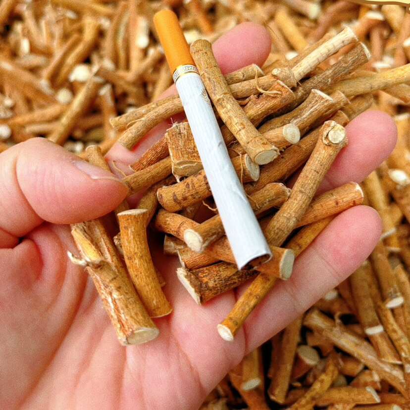 精选五指毛桃中节无硫干货中药材最靓高货中节