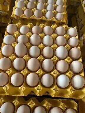 武汉精品鲜鸡蛋粉壳蛋红壳蛋 一手货源。产地直发。！！！！！！！！