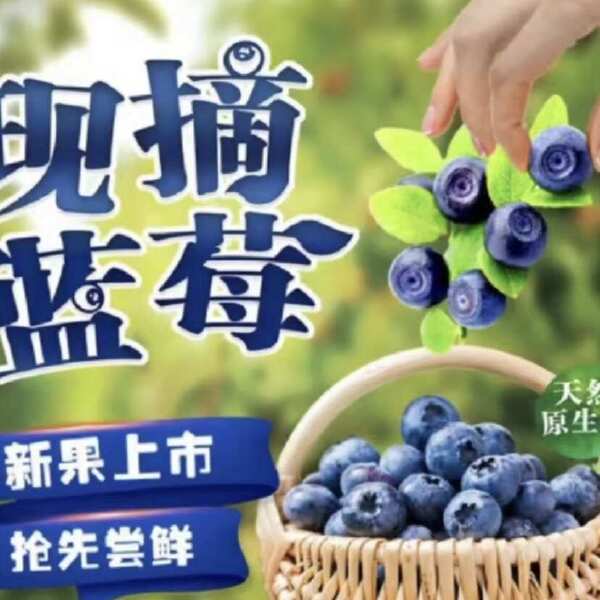 薄雾 莱克西￼ 绿宝石￼ 这几个品种 果粉好 好吃 营养丰富