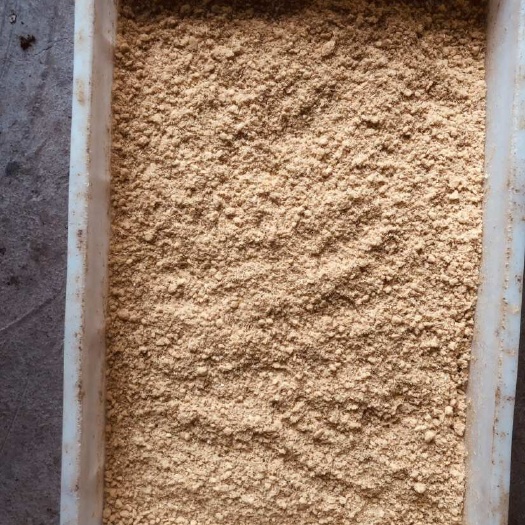 望谟县黑水虻虫卵