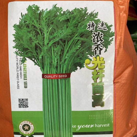 正定县光杆小叶茼蒿皇帝菜种子农户蔬菜基地专用