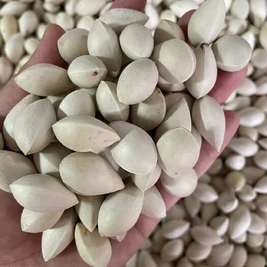 玉林批发白果
