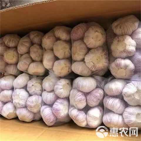 2024新产干大蒜紫皮干蒜精选大蒜包邮干大蒜一件代发