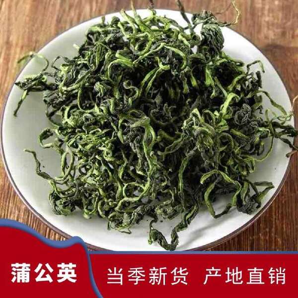 蒲公英茶 优质新货蒲公英茶 无硫干货 批发蒲公英茶