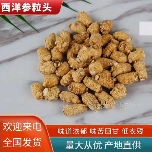 成都东北长白山西洋参粒头 又名花旗参 各种规格齐全 产地直销