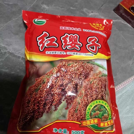 仁怀市红缨子高粱种子