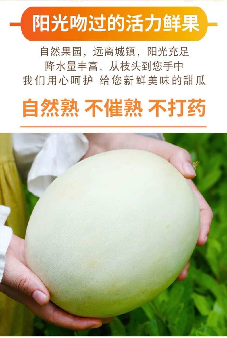 冰淇淋玉菇甜瓜4.5斤头茬新鲜现摘现发电商一件代发包邮