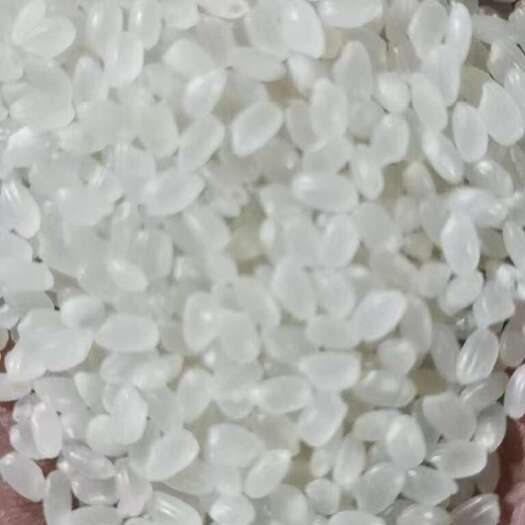 上海陈米珍珠米圆粒米