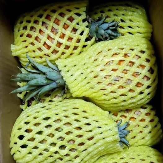 南宁新鲜菠萝香水小菠萝熟果红菠萝徐闻小菠萝甜脆爽胜泰国小菠萝