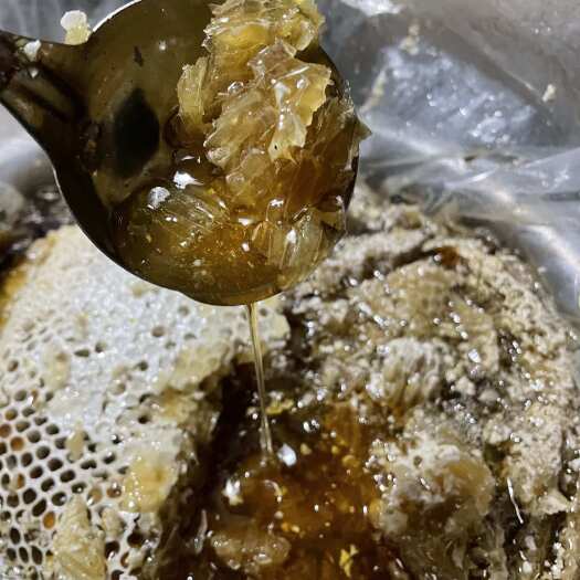 富宁县云南大山百花蜜 天然蜂蜜 大岩蜂树蜂 营养丰富