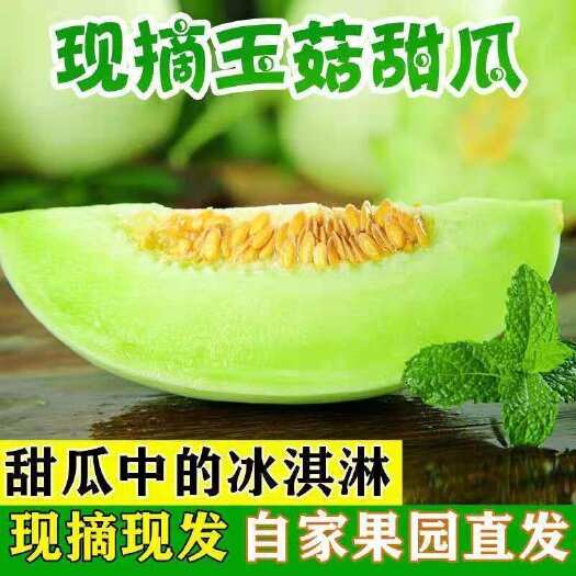 冰淇淋玉菇甜瓜4.5斤头茬新鲜现摘现发电商一件代发包邮