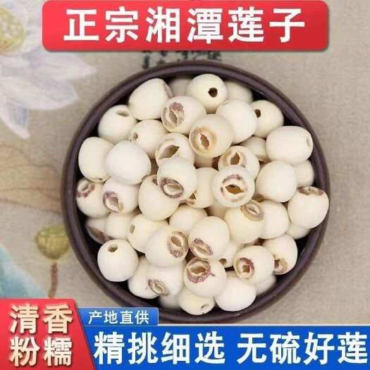 亳州湖南湘莲子 批发白莲子去芯带芯规格齐全 产地货源量大价优