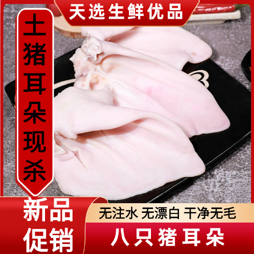 南京猪耳朵新鲜国产冷冻猪耳农家生鲜无毛土猪耳卤味饭店食材