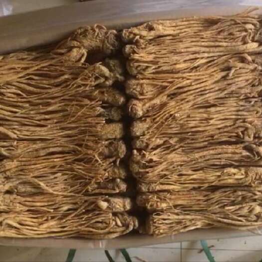 岷县【甘肃岷县优选水洗黄当归 】产地直发 货源充足，质量保证