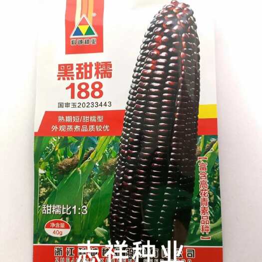 华容县科诚种业黑甜糯188黑玉米种子国审80天上市富含花青素甜糯