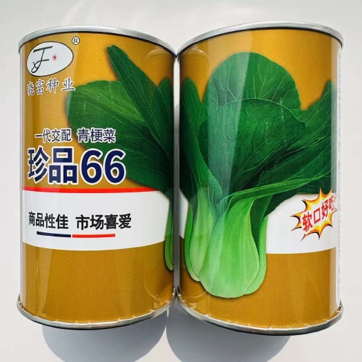 宿迁晓富耐热珍品66青梗菜种子 珍品88青梗菜种子 珍品夏青菜籽