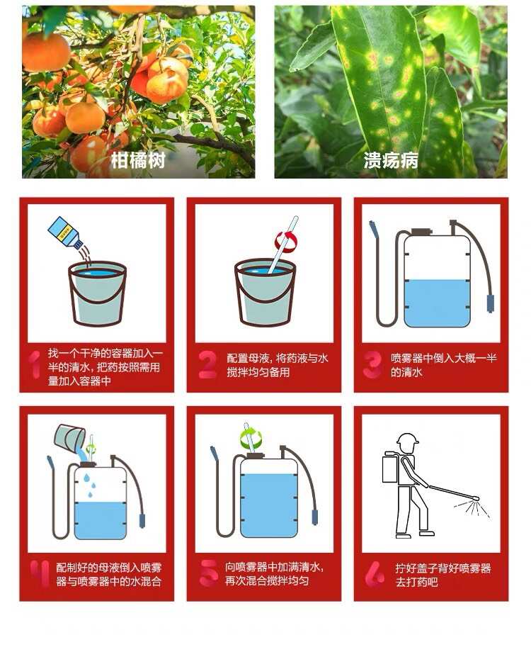 毅植果师傅36%春雷霉素喹啉铜 柑橘溃疡病专用药流胶穿孔病杀