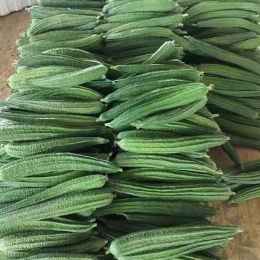 扶绥县丝瓜