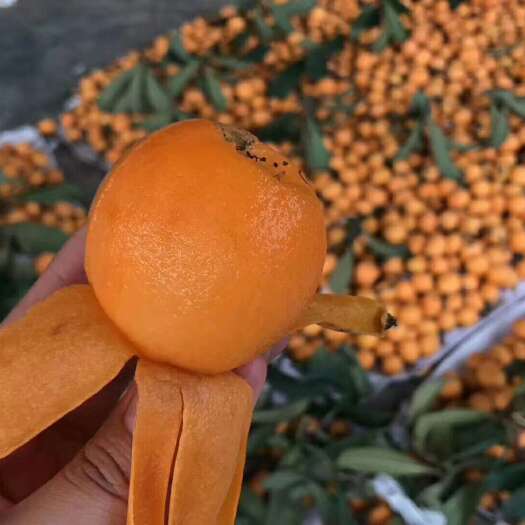 成都适合送礼