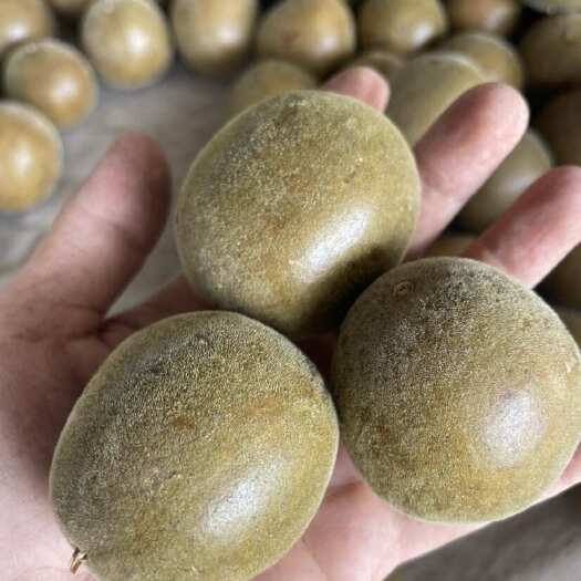 永福县罗汉果