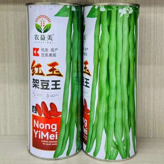 南京红玉架豆王豆角种子早熟速生长无纤维品质优无筋四季豆大田种